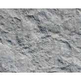 Gray Gorge Flagstone (per lb) #7255